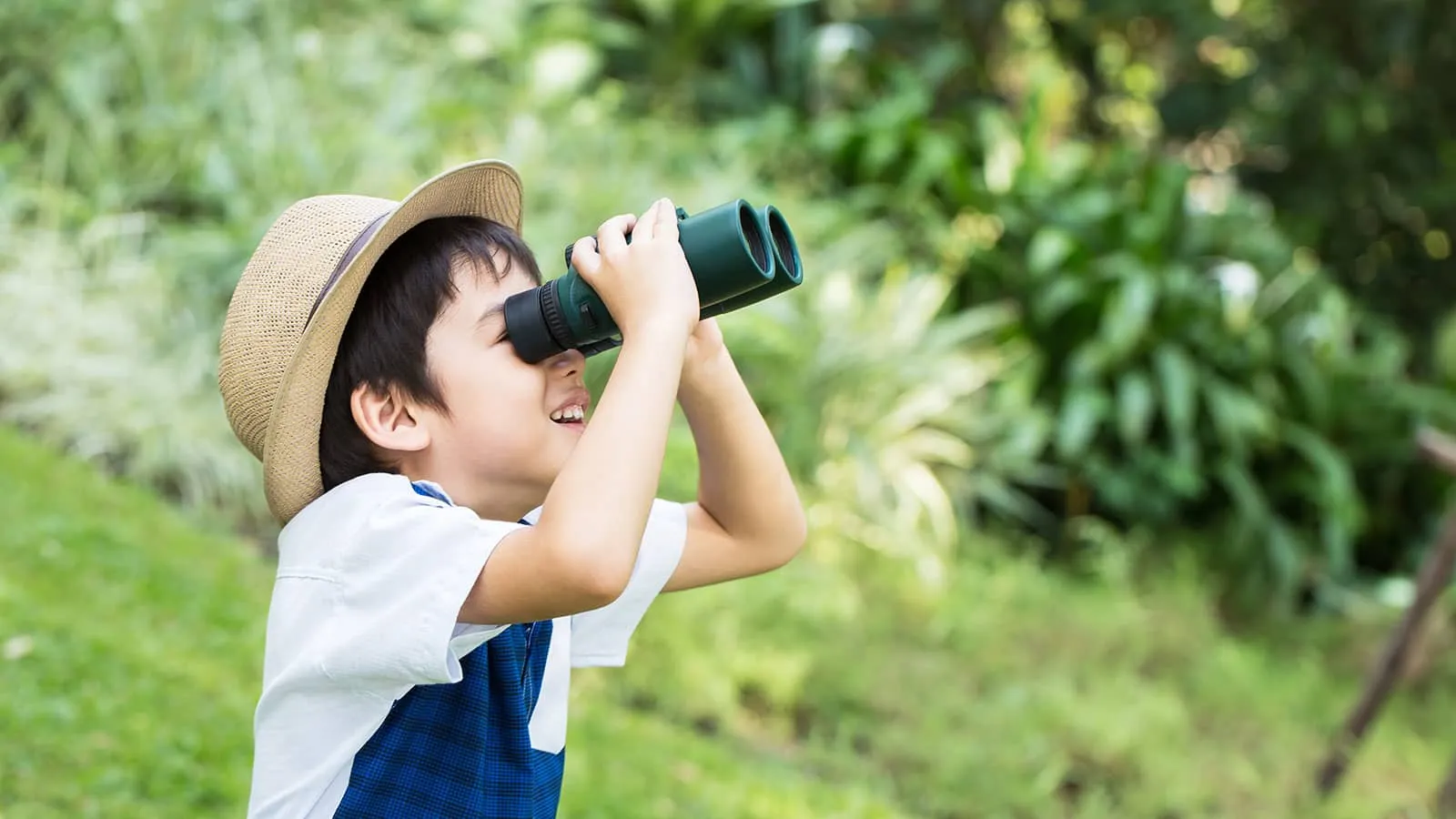 夏にピッタリの自然遊びアイデア10選！保育に導入するメリットや注意点